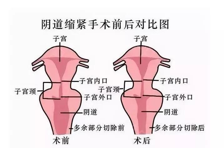 սҪǮսһǮ