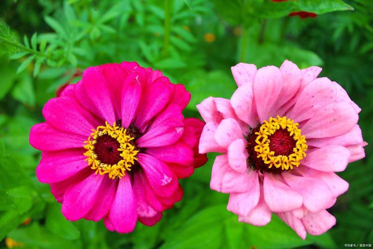 蔡洁个人资料 蔡洁是谁 蔡洁个人资料 蔡洁是谁