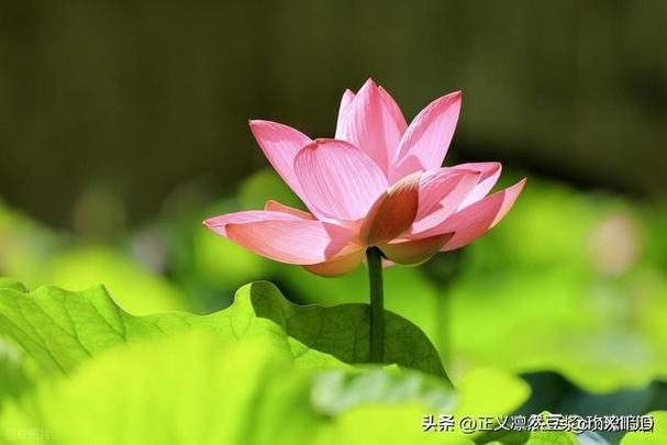 °°ҽԺڰ嵥top10ļʵһ°°ҽԺ