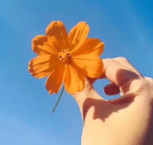 延边朝鲜族自治州微创种牙医院排行预测评(吉林延吉百思特口腔门诊部这十家实力不俗) 延边朝鲜族自治州微创种牙医院排行预测评(吉林延吉百思特口腔门诊部这十家实力不俗)