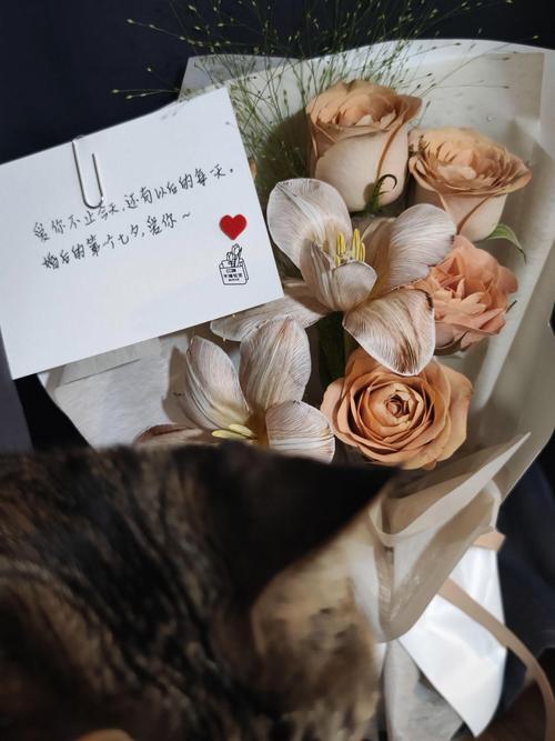 оϸüҽԺ(Ƿҽﲿǰʮϸ)