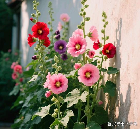 ̽շѱ׼2025ѯ ̽ǾΪ28674Ԫ