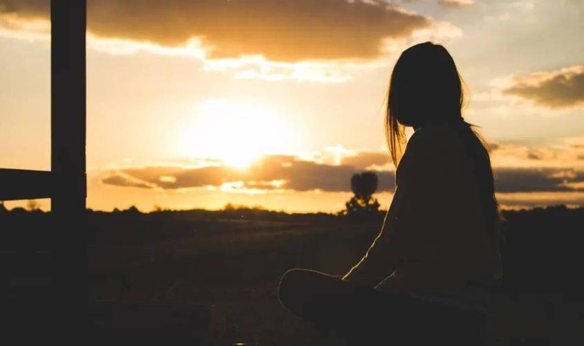 2025ֲ޸۸շѱ2025ϸ£ֲ޸ҪǮأ