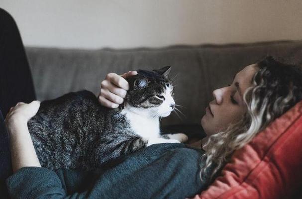 亳州市牙根管手术医院排名top10强精品汇总(亳州益雅口腔门诊部又上榜了) 亳州市牙根管手术医院排名top10强精品汇总(亳州益雅口腔门诊部又上榜了)