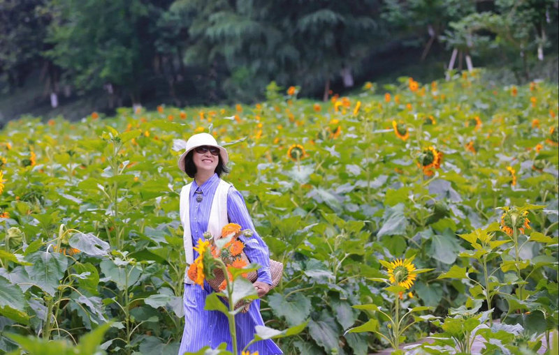 Ϸми۸(Ŀ)ȫ»ȳ¯ Ϸми۸