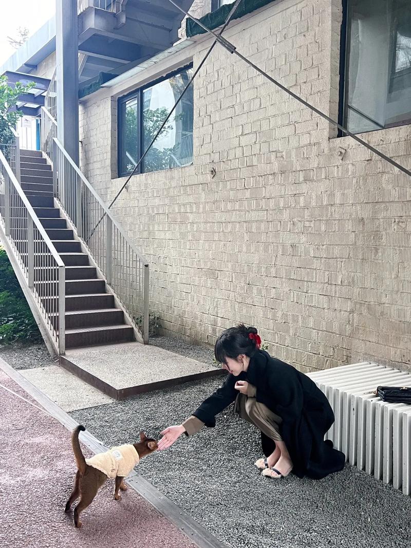 ϳήڿǻҽаtop10ǿļλ ϳήҽ˭ʤһ