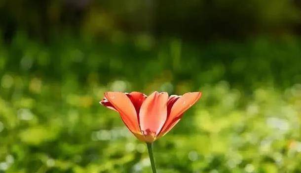 2025年济南市全自锁托槽矫正医院排名榜十强随心选 济南市全自锁托槽矫正口腔医院 2025年济南市全自锁托槽矫正医院排名榜十强随心选 济南市全自锁托槽矫正口腔医院