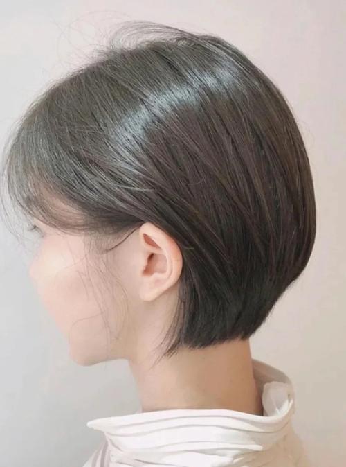 赖文峰对杨钰莹的评价 赖文峰对杨钰莹的评价