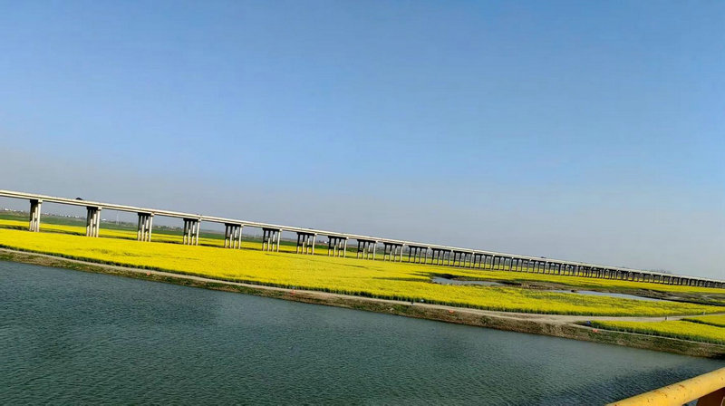 福州市做软骨隆鼻医院榜单更新(福州悦已整形美容机构靠谱技术先进) 福州市做软骨隆鼻医院榜单更新(福州悦已整形美容机构靠谱技术先进)