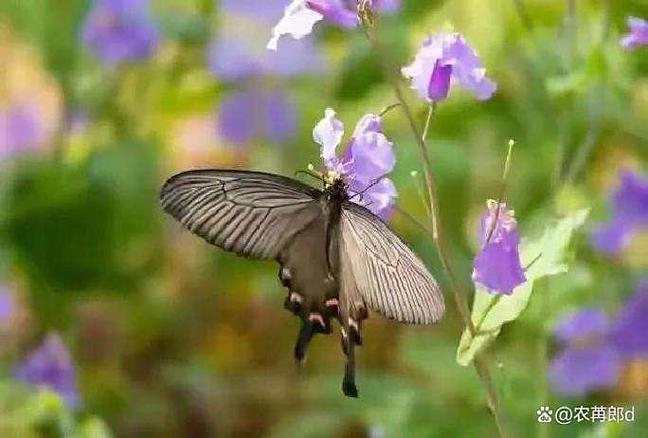 �������רҵҽ����λʵ���� ������̷��������ҽ��