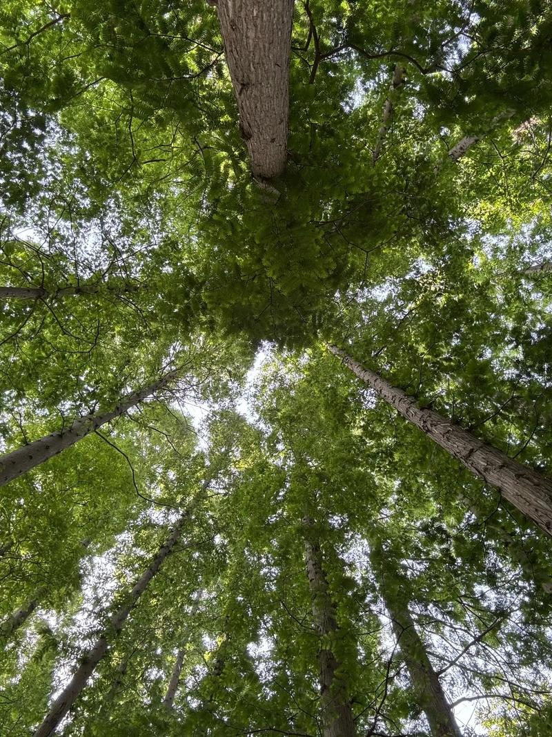 ������ע������������ҽԺ�ϰ�����ǰʮ�����ļ��� ������ע����������������ҽԺ