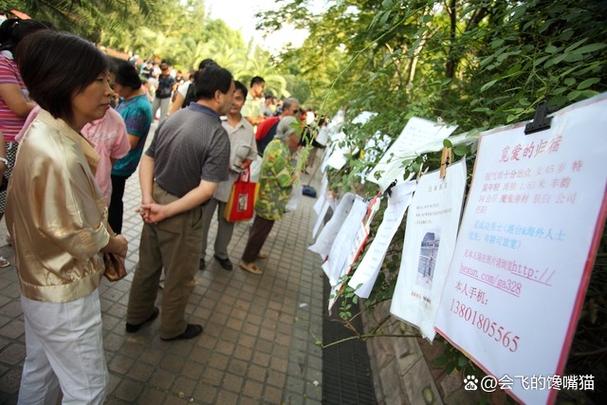 ����������֬�۸�(��Ŀ)���°��Ż�һ��(��6���¾���Ϊ 16996Ԫ)