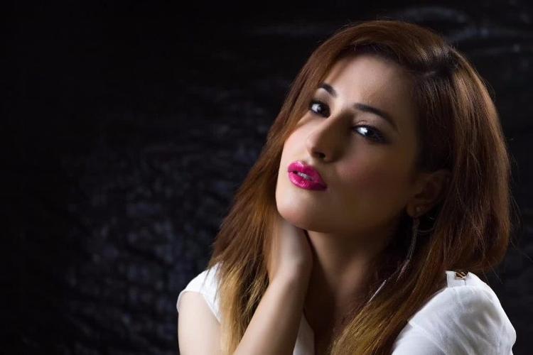 2026���Ϻ���������߼۸�(�շѱ�׼)����2026�����߲鿴 �Ϻ���������߿�ǻ�����۸��Ŷ���Ǯ